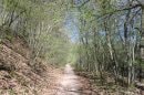 GR5, montée au Fort Dorsner